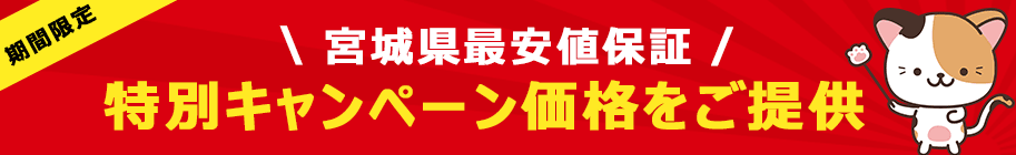 キャンペーン価格
