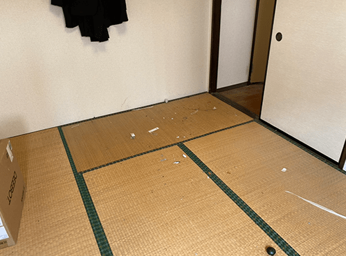 特殊清掃後画像