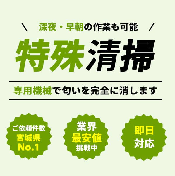 特殊清掃